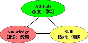 中建東孚上海公司后備人才系列課程之 非人力資源經理的人力資源管理
