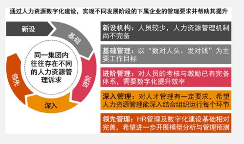 大型集團化國有企業人力資源數字化建設的解決之道