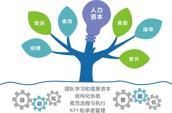 人力資源管理師國家職業資格證書培訓 提升專業能力，開啟職場新篇章